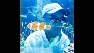 PHARRELL WILLIAMS x FRUTIGER AERO type beat - "ANEMONE"