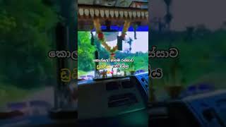 සද්දන්ත_කුලේ_අපි#prime mover lover#1milion 🌿💞