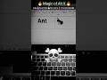 😃⚡️MS Word Magic: Create Ant Symbol 🐜 | #Shorts #MSWord #computer #teacher