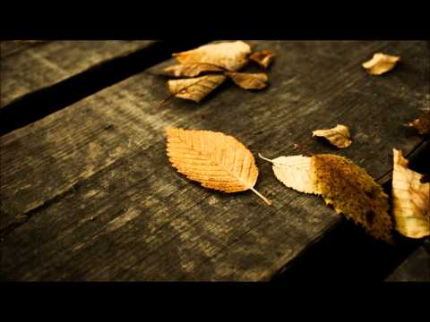 ใบไม้   FLYฟลาย