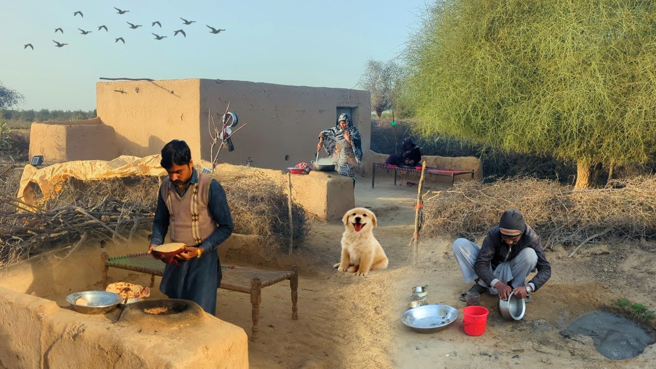 Unseen Desert Life near India Pakistan border | Desert Women Morning Routine | Anicent Culture