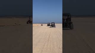 Offroad in sand 🐫#short #egypt #offroad  #desert #sahara #driving