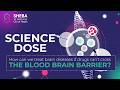 Science Dose: Why can’t we treat most brain diseases with Yael Mardor