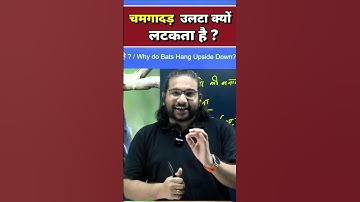 चमगादड़ उलटा क्यों लटकता है ! Amazing fact By Madhukar Kotawe