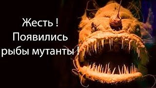 Жесть ! Появились рыбы мутанты ! ( Feed and Grow: Fish )(Лайк - и будет продолжение ) спасибо ! Реклама у меня - https://vk.com/id81953993 Игра из видео - http://store.steampowered.com/app/429050/?l=russian., 2016-09-19T17:00:42.000Z)