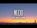 [ 1 HORA ] Romeo Santos - Necio (Letra/Lyrics) ft. Santana