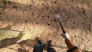 LIVE DIG RING!! XP Deus 2 HF2 coil pitch tones low disc in the playground.