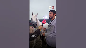 الخيل الفائزة بالذهبية أثبت وجوده وكان فارق عن الجميع كأس ظفار لجمال الخيل العربية 2025 
