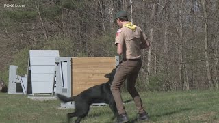 Future Tolland Eagle Scout creates an obstacle course for state police K9s