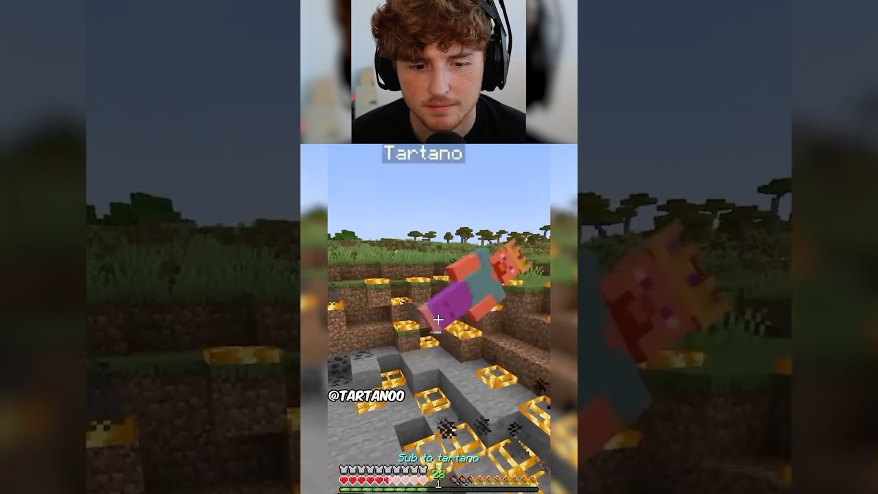 POV that one friend who always punches you in Minecraft