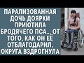 Парализованная дочь доярки приютила бродячего пса… От того как он её отблагодарил, округа вздрогнула