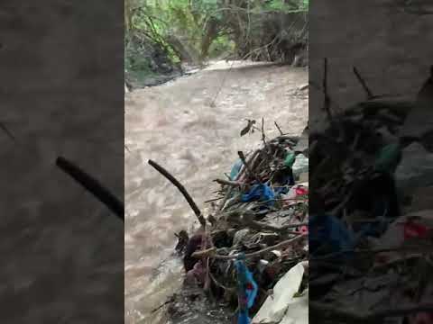 غيل بلاد الشعيبي 