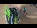 Automatic Water Plant System