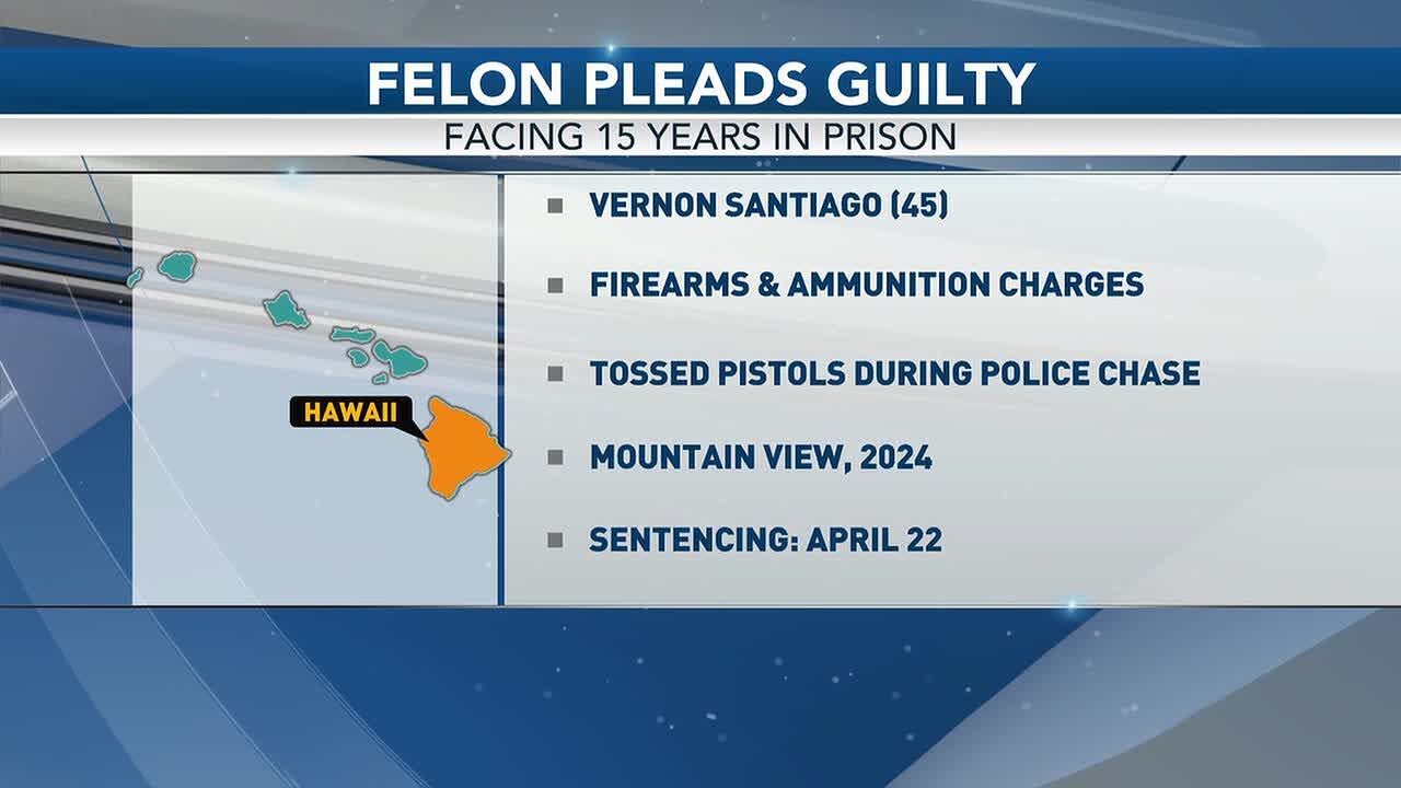 Hawaii Island man pleads guilty to firearms and ammunition charges ...