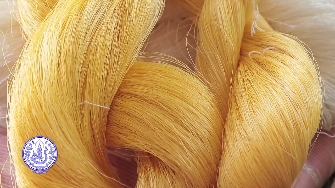 สารคดีเฉลิมพระเกียรติ ตรานกยูงพระราชทานสีเงิน  Classic Thai Silk