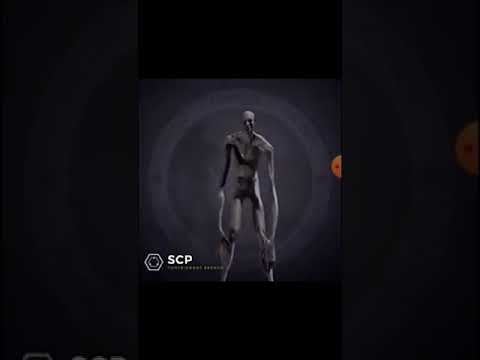 SCP unity :