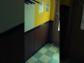 歌ってみた ステキのキセキ 太田裕美