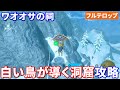 【ティアキン】白い鳥が導く洞窟攻略　ワオオサの祠(フルテロップ)