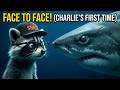 Toronto Aquarium Vlog: Charlie Snaxx Hits Ripley's