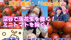 玉川 美沙 たまch たまにはちゃんと Youtube 玉川 美沙 たまch たまにはちゃんと Youtube