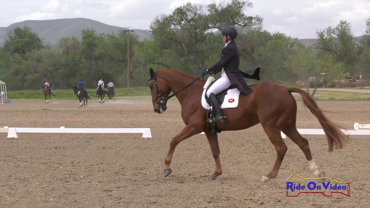horseshoe bend 018D Shannon Lilley on Greenfort Carnival CCI3* Short Dressage Twin Rivers Ranch April 2019