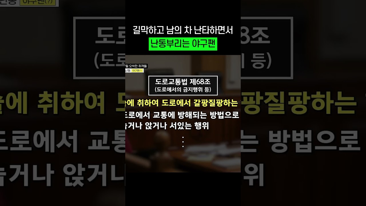 길막하고선 차로 난타하는 야구팬ㄷㄷ #shorts #한블리
