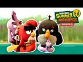 Angry birds  birdy adventures at camp  