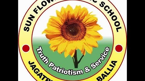 Class 4,E.V.S,Chapter 3 ,How We Sense Things