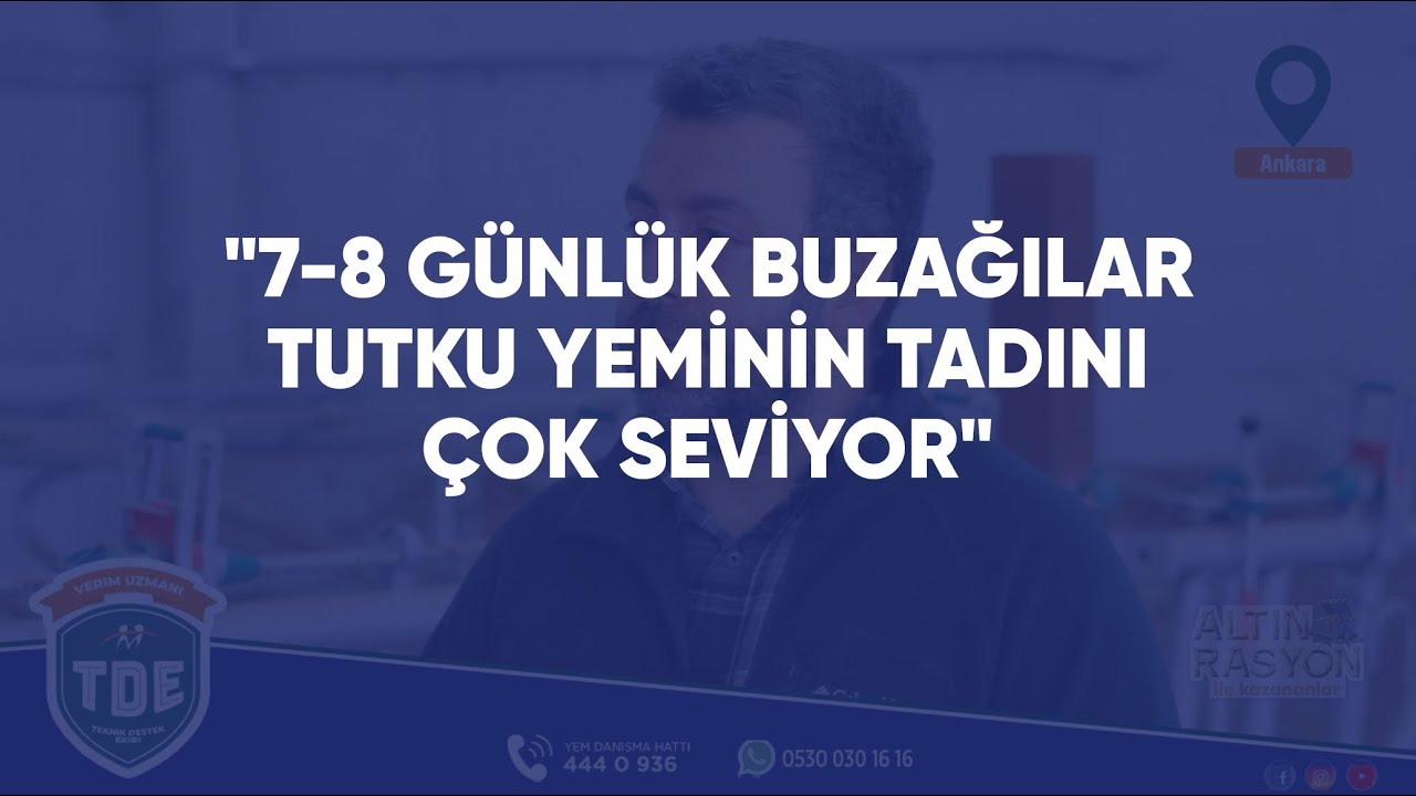 Neden Tutku buzağı yemi?