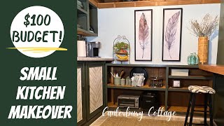 Small Kitchen Makeover $100 Budget/DIY Kitchen Makeover