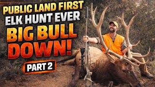 Celebrity Colorado OTC 3rd Rifle Season Bull Elk 2025 | Public Land - DIY | Part 2 Wealth