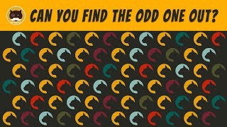 Odd One Out - Cat Themed Brain Game.