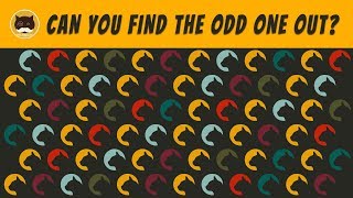 ODD ONE OUT - CAT THEMED BRAIN GAME.