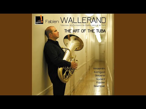 Parallels for Tuba and Piano: II. Andante, Rubato