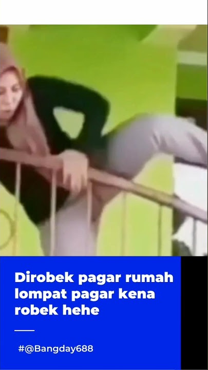 Lompat pagar sampai kelihatan CD nya😂😂#lucu#videolucu#kucinglucu