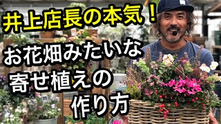 【寄せ植え】店長が本気出した！お花畑のような寄せ植えの作り方