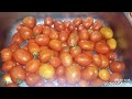 اتعلمى تخزين صلصة الطماطم لسنة ونص فى 10 دقايق 
