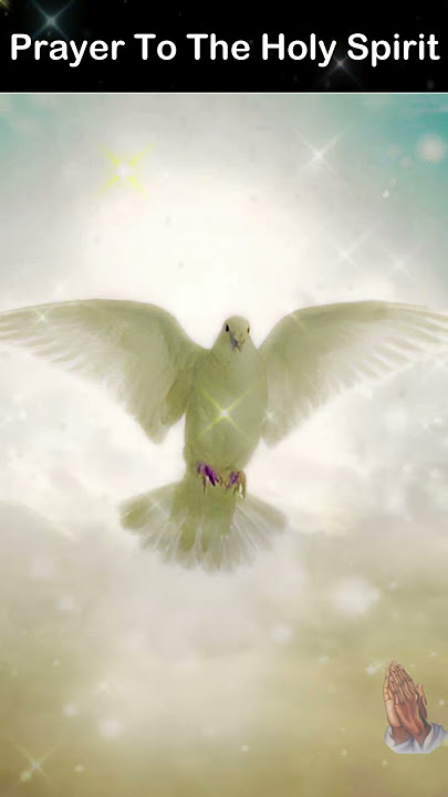 Powerful Prayer To The Holy Spirit