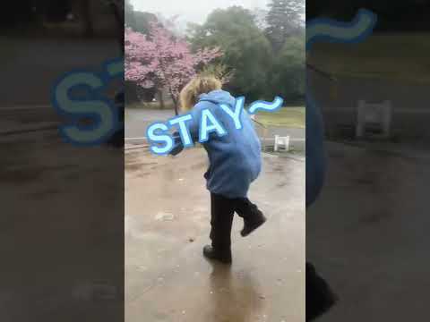 ばうさんかと思ったらまさかのwwwwww 東京フラッシュ Vaundy Shorts