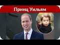 После скандала с изменами принц Уильям и Кейт Миддлтон вышли на прогулку с детьми