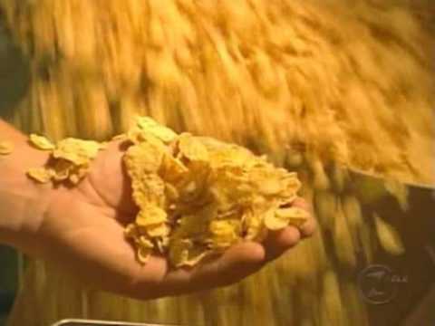 Vidéo: Comment Faire Cuire Des Cornflakes