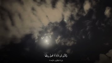 قرآن كريم - مقطع من سورة العنكبوت الآيه رقم ٦٠ - بصوت القارئ - عبدالرحمن مسعد - أكتب شيءً تؤجر عليه