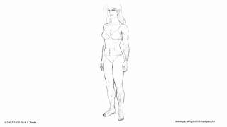 Kate Full Body Werewolf Transformation