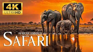The Majestic beauty of African wildlife  - Beautiful Animals Movie with Smooth Relax Piano Music