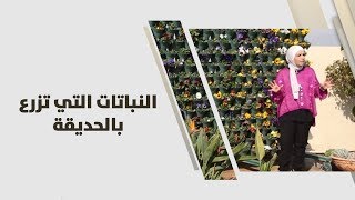 أمل القيمري - النباتات التي تزرع بالحديقة