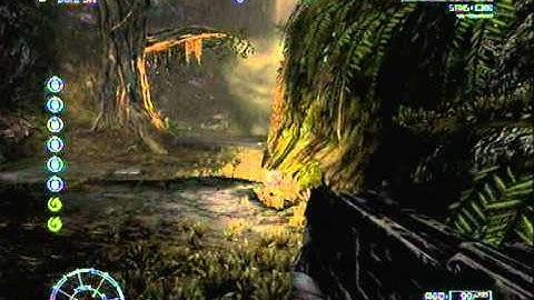 Avp infestation 1 Gateway  20/12/2011