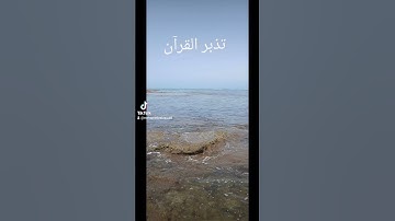 #آيات  بينات من الذكر الحكيم