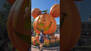 Mickey Pumpkin At Disneyland Halloween 2026! @themeparksteve1