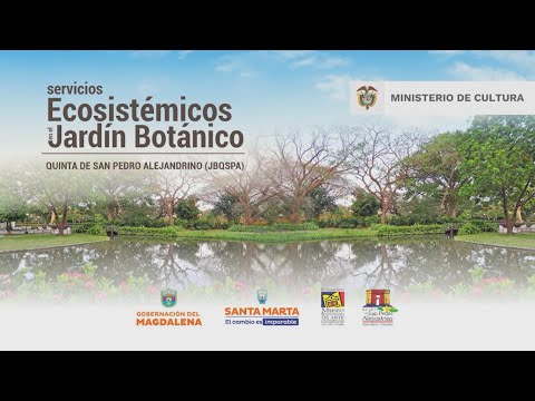 Taller de Teselas y Mosaicos en cemento - Fundación Museo Bolivariano  Quinta de San Pedro Alejandrino