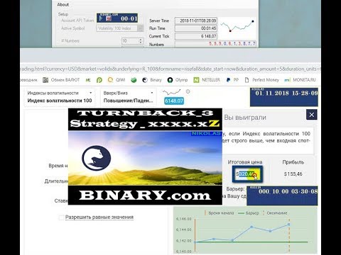 TurnBack Strategy_xxxx.xZ Binary.com